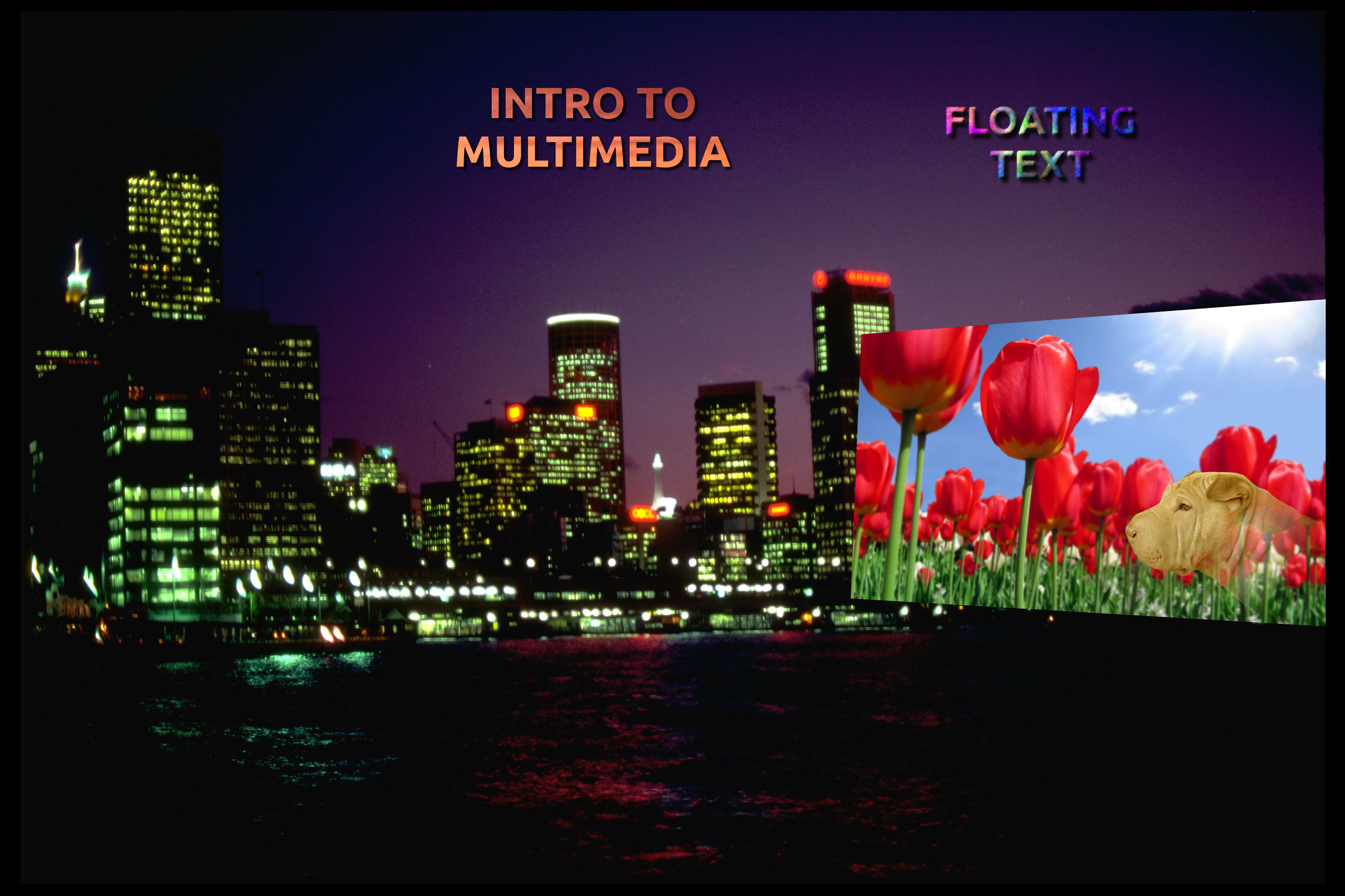 a collage from a bunch of different pictures